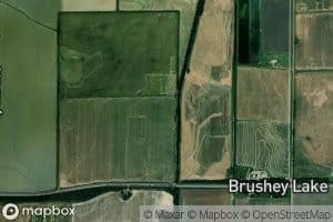 Bale Brown Branch