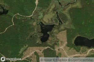 Willard Lake
