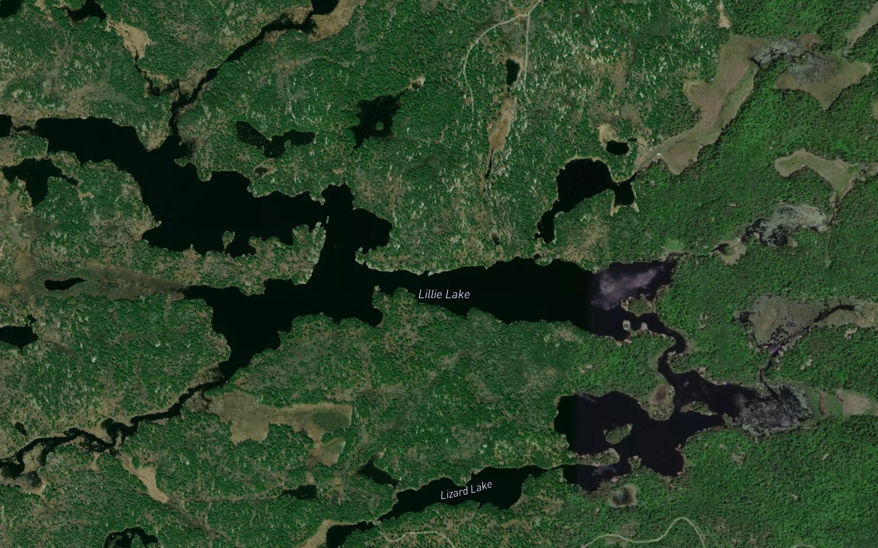 Satellite map of the Lillie Lake