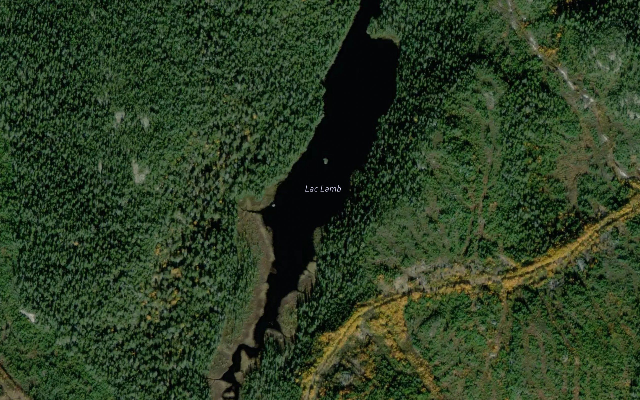 Lac Lamb