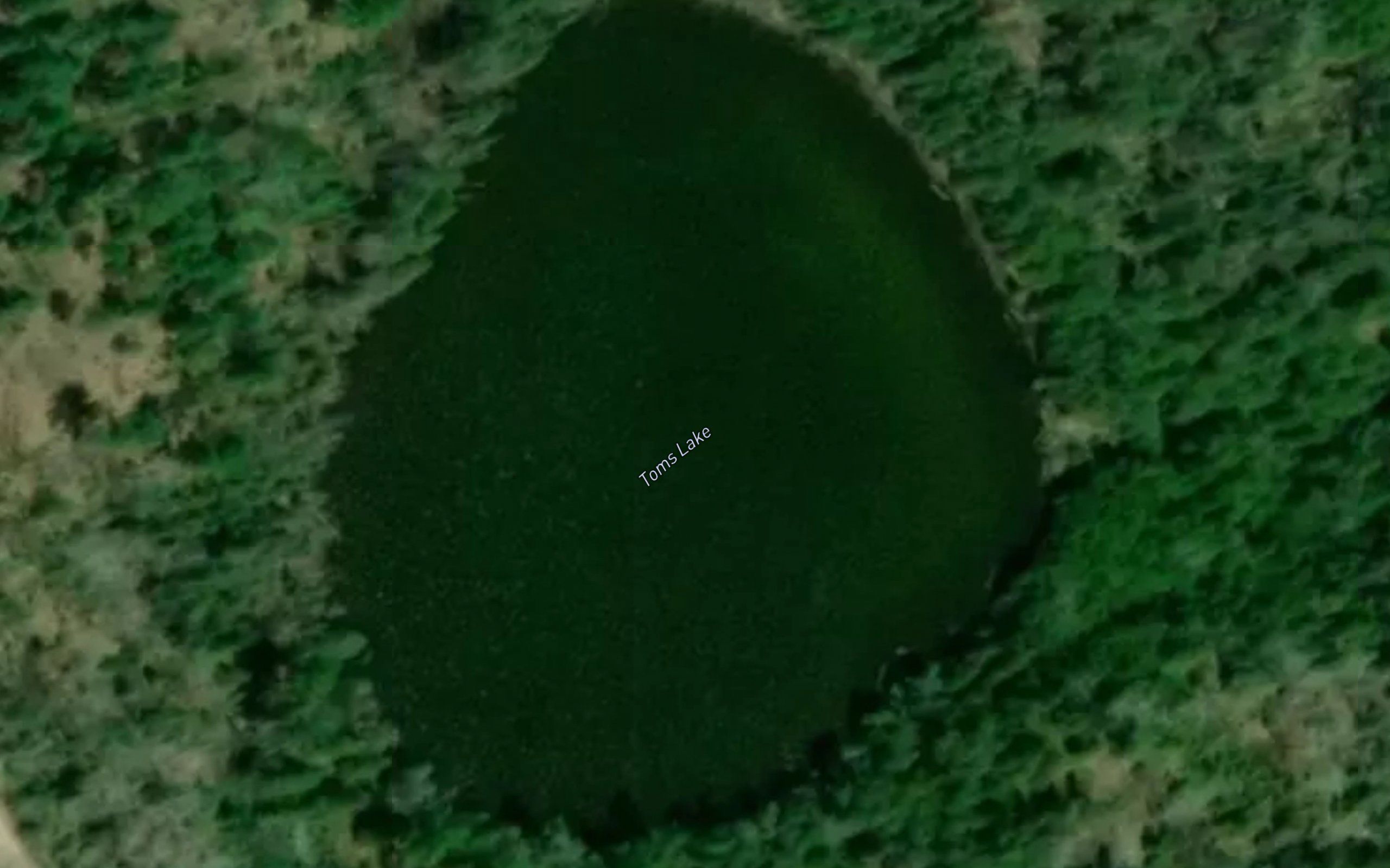 Toms Lake