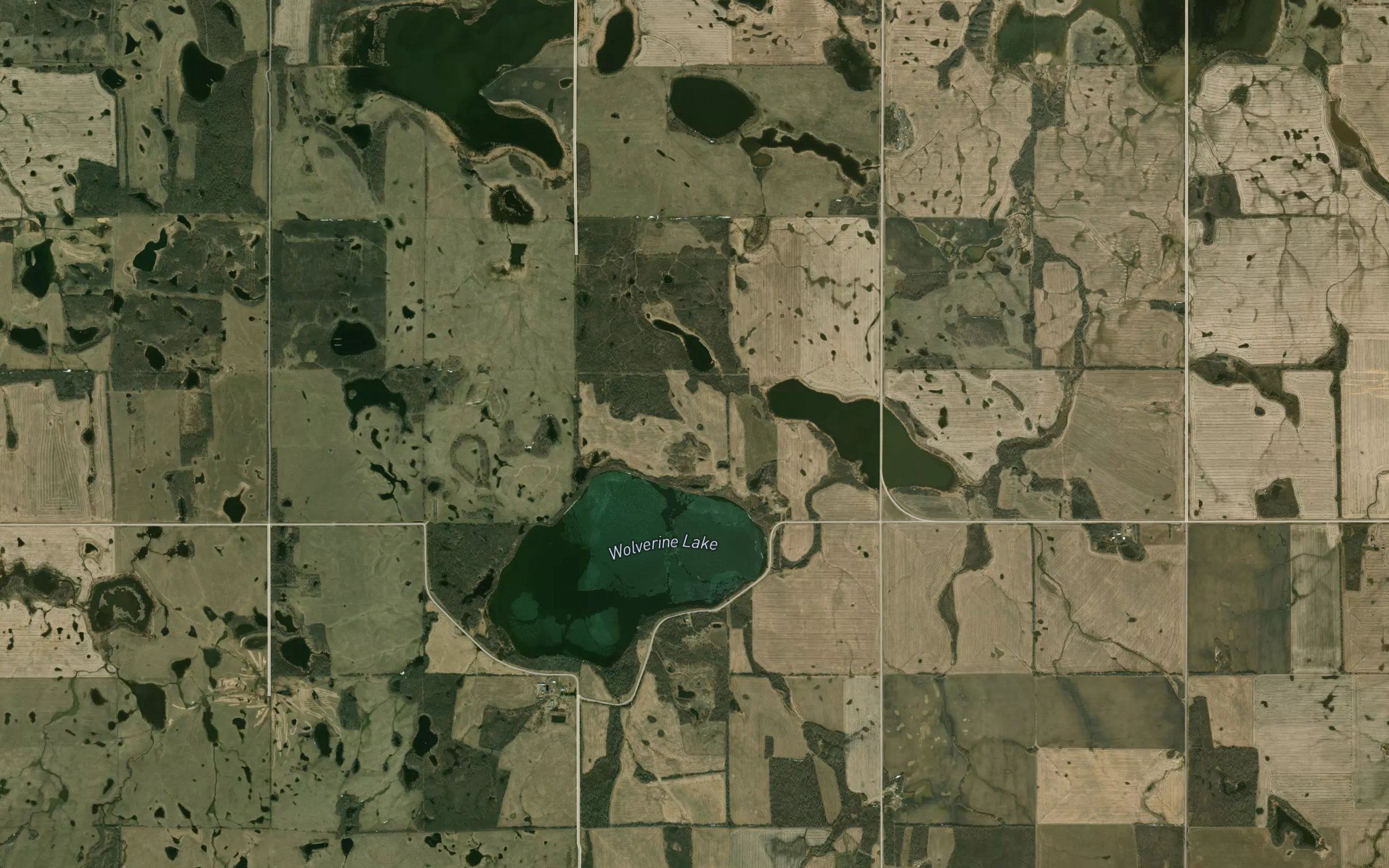 Wolverine Lake