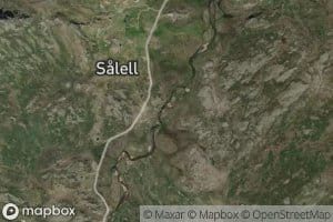 Salellselvi