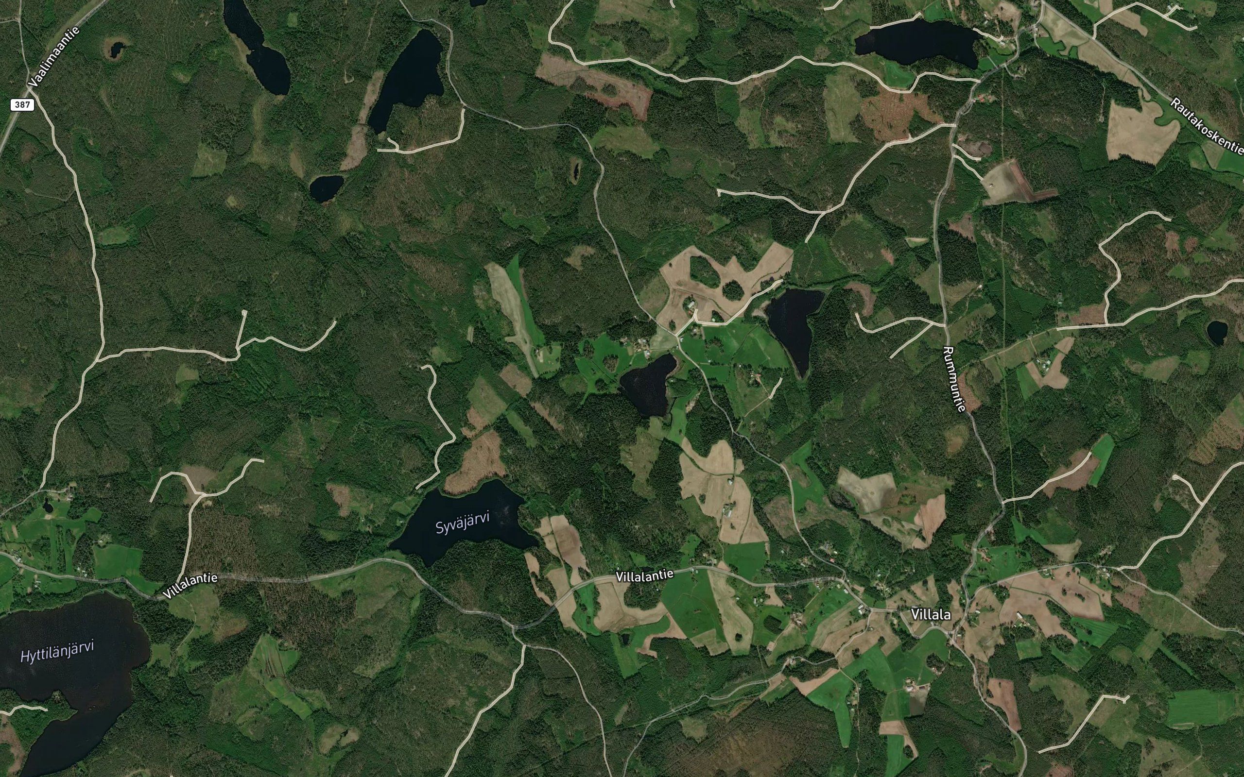 Kynahaavanoja