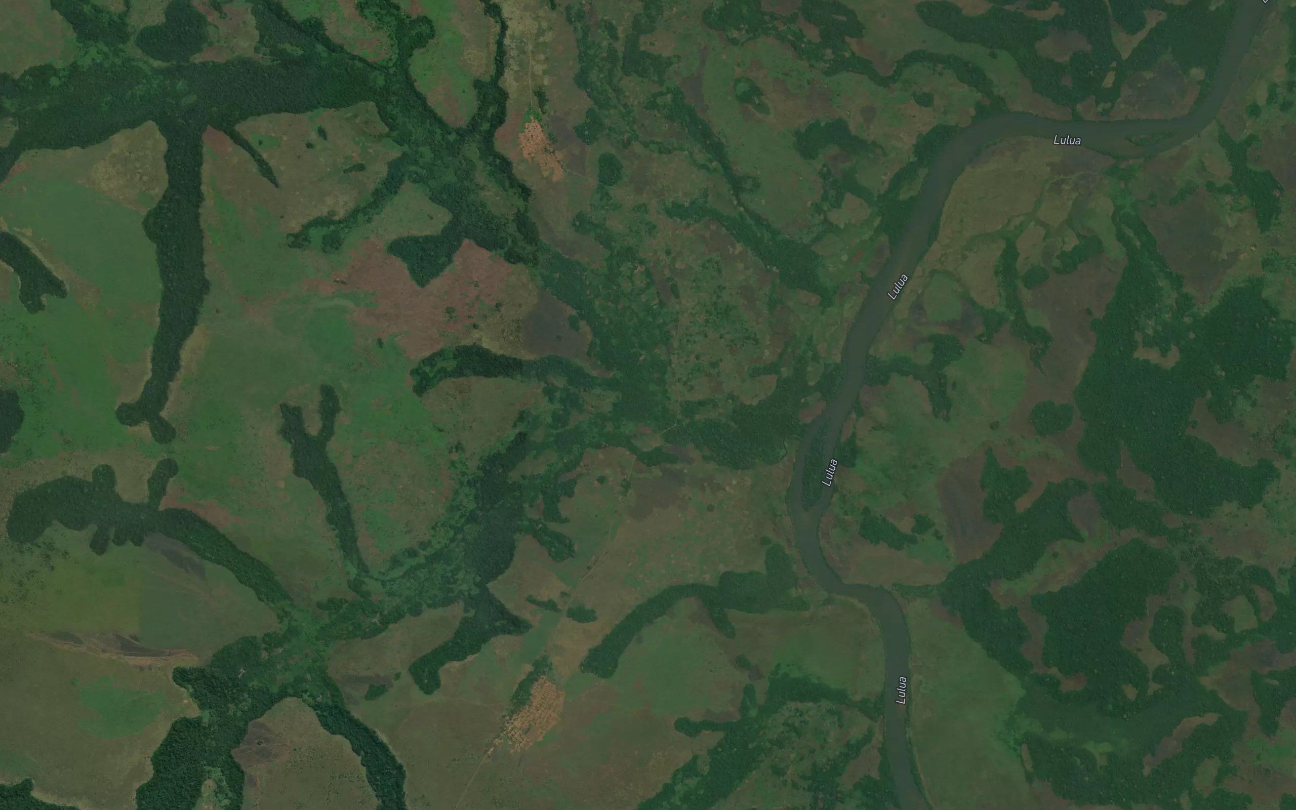 Ngweji