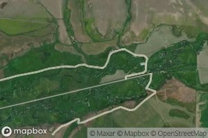 Muddy Creek