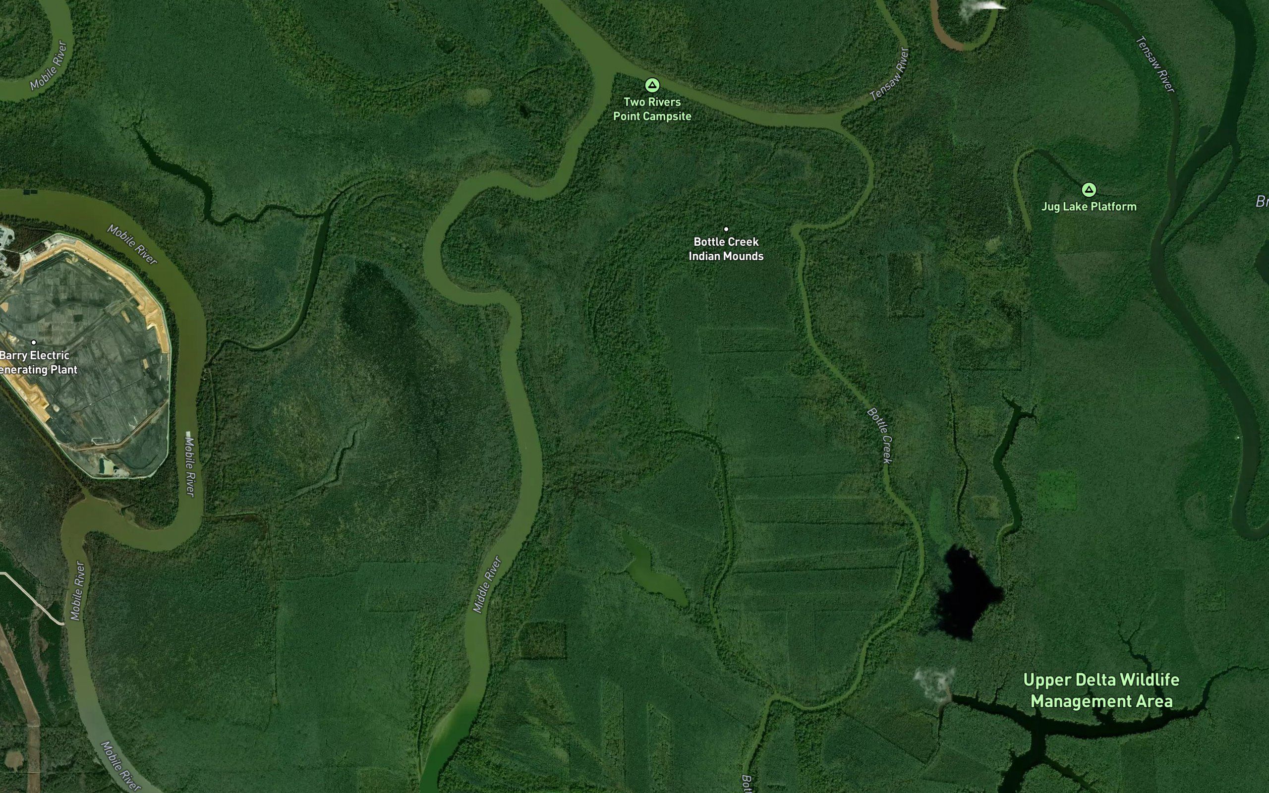 Dominic Creek