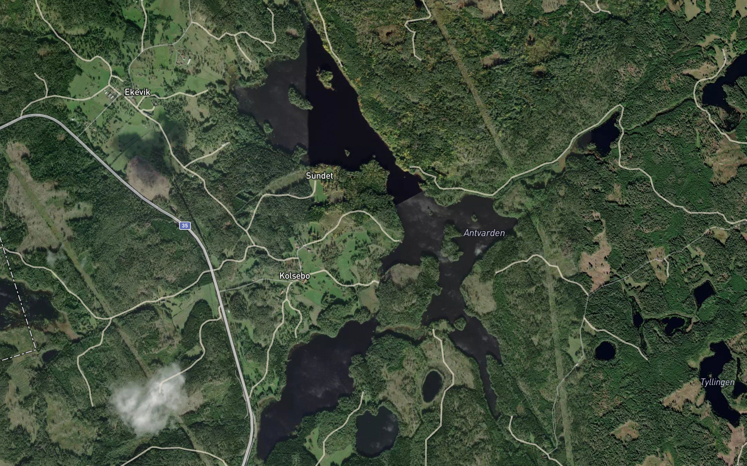 Antvarden
