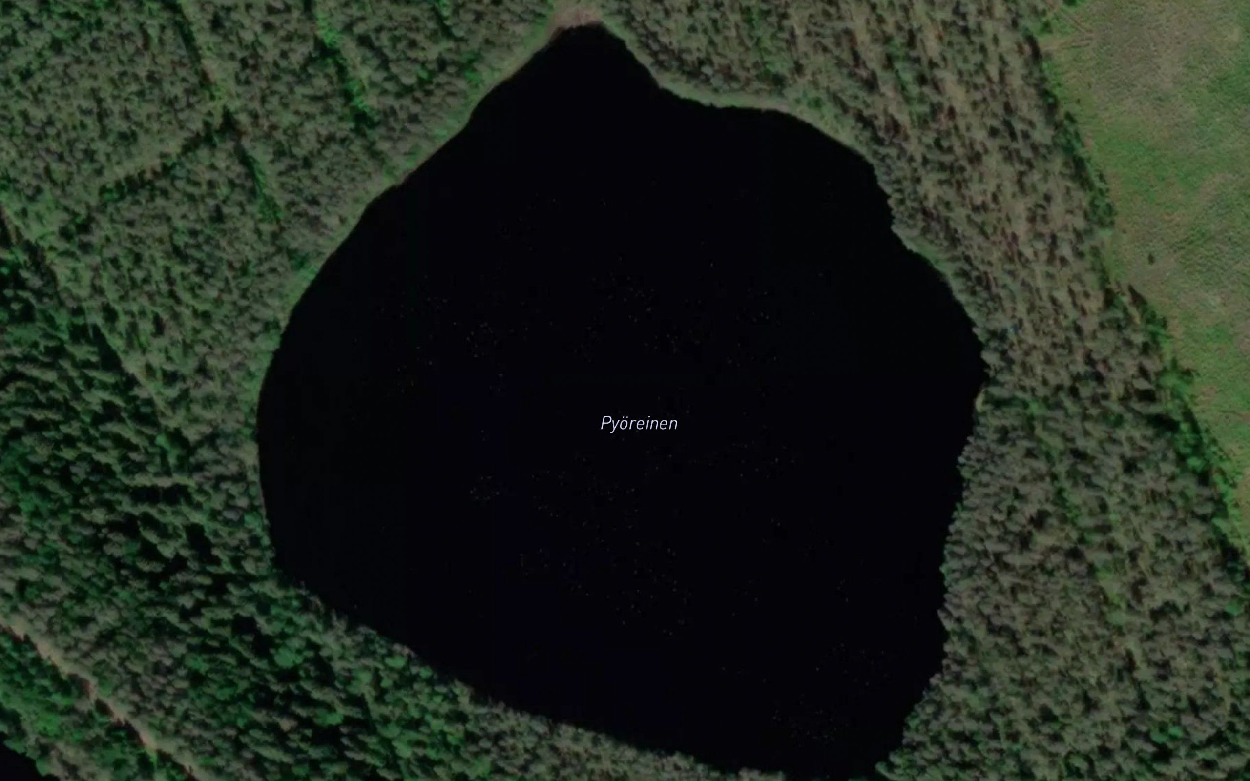Pyoreinen
