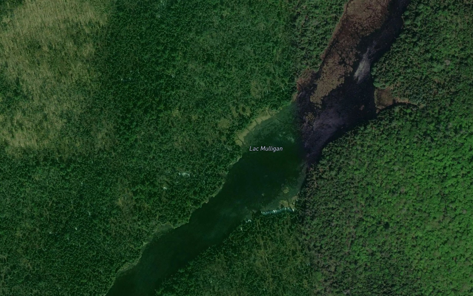Satellite map of the Lac Mulligan