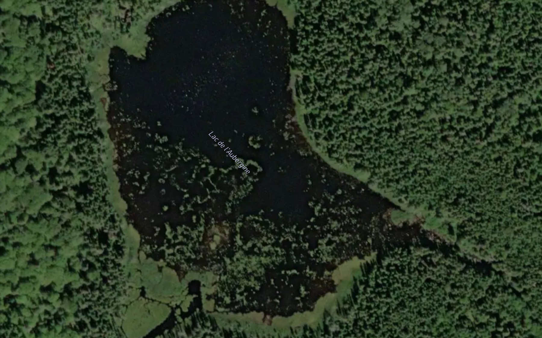 Satellite map of the Lac de l'Aubergine