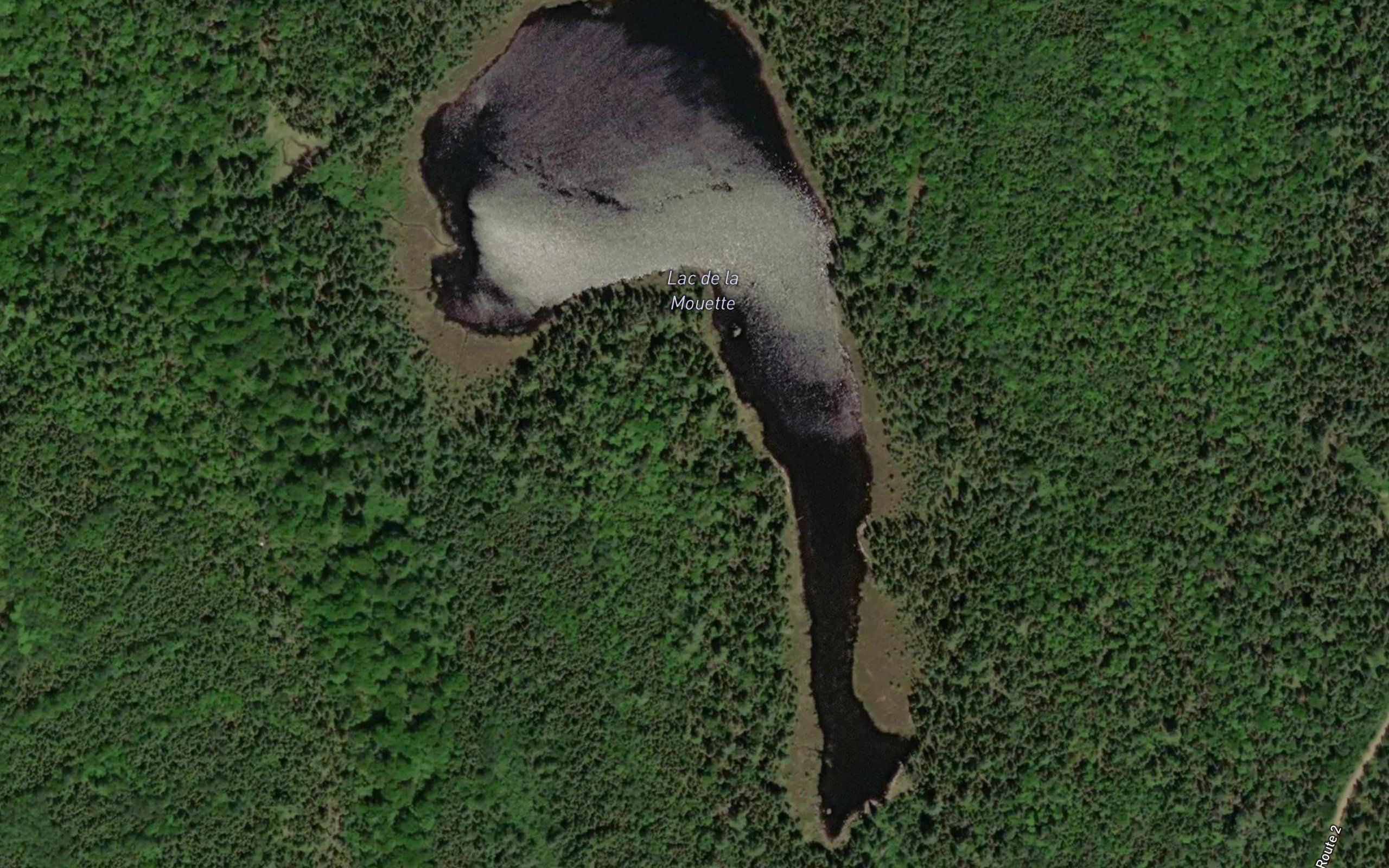 Lac de la Mouette