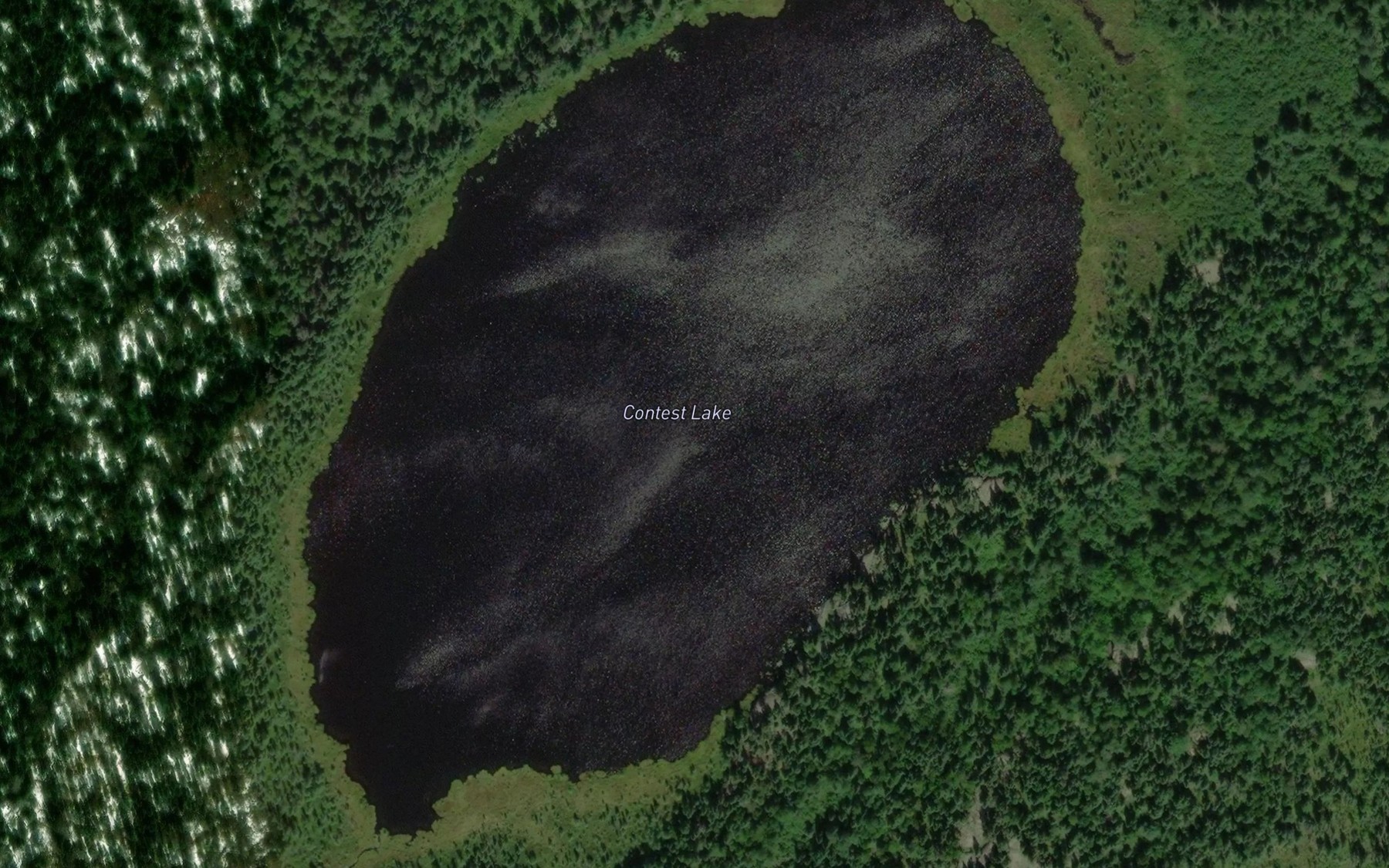 Satellite map of the Contest Lake