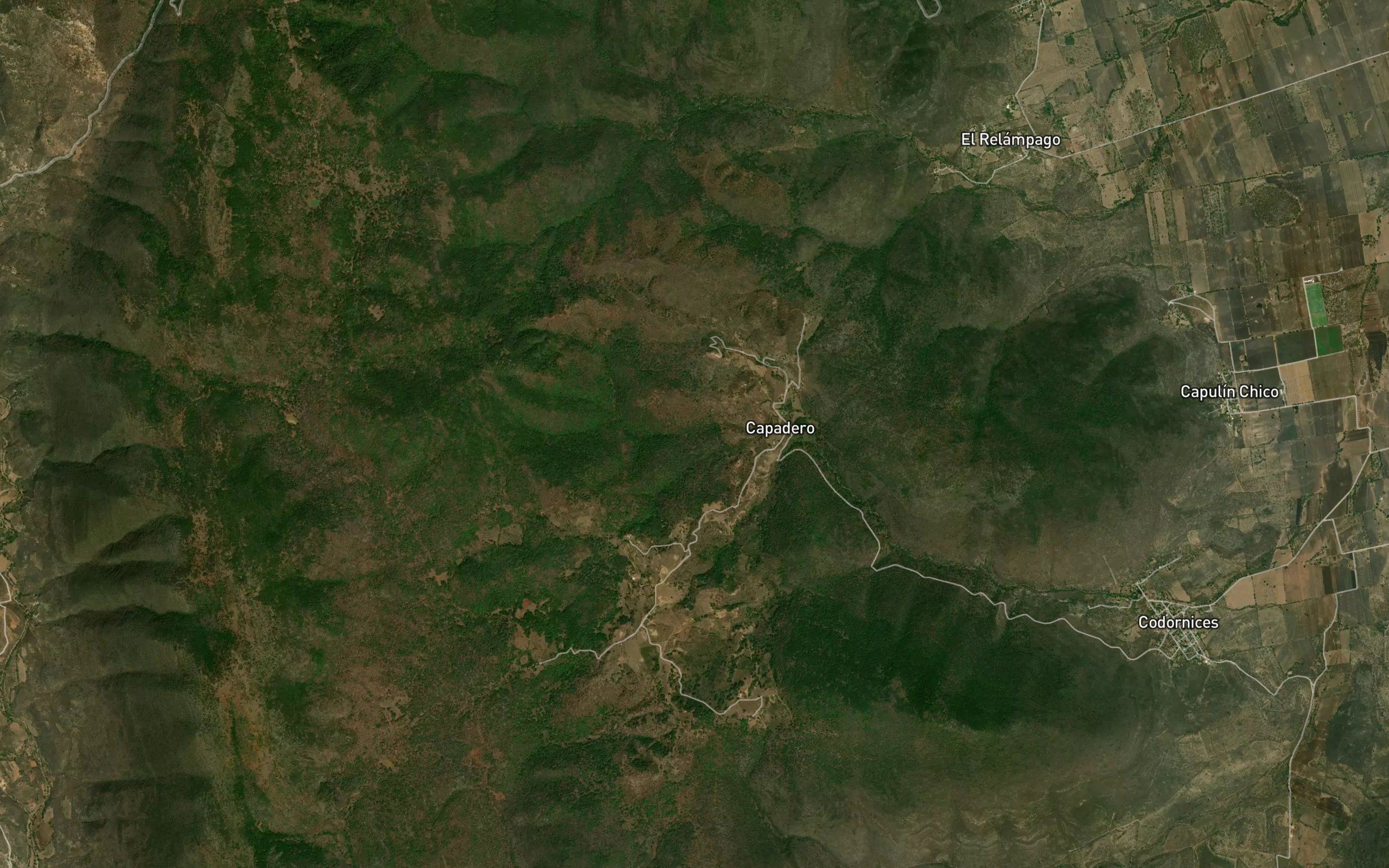 Barranca Pinito