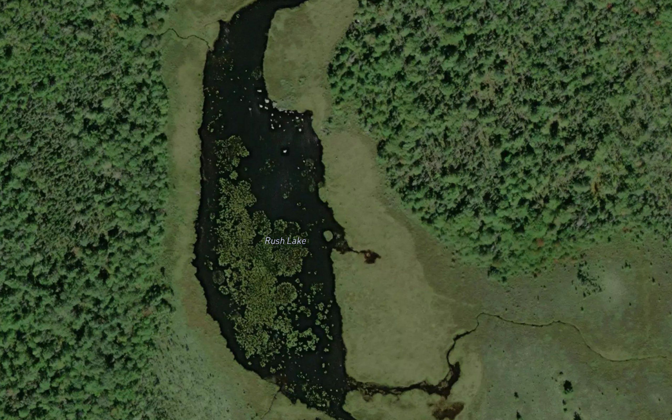 Rush Lake