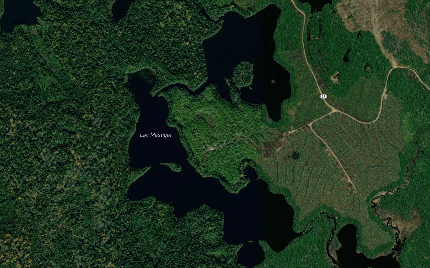 Satellite map of the Lac Mestiger