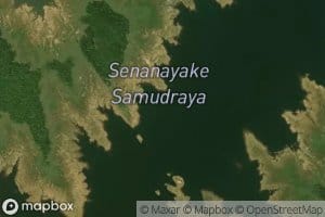 Senanayaka Samudra