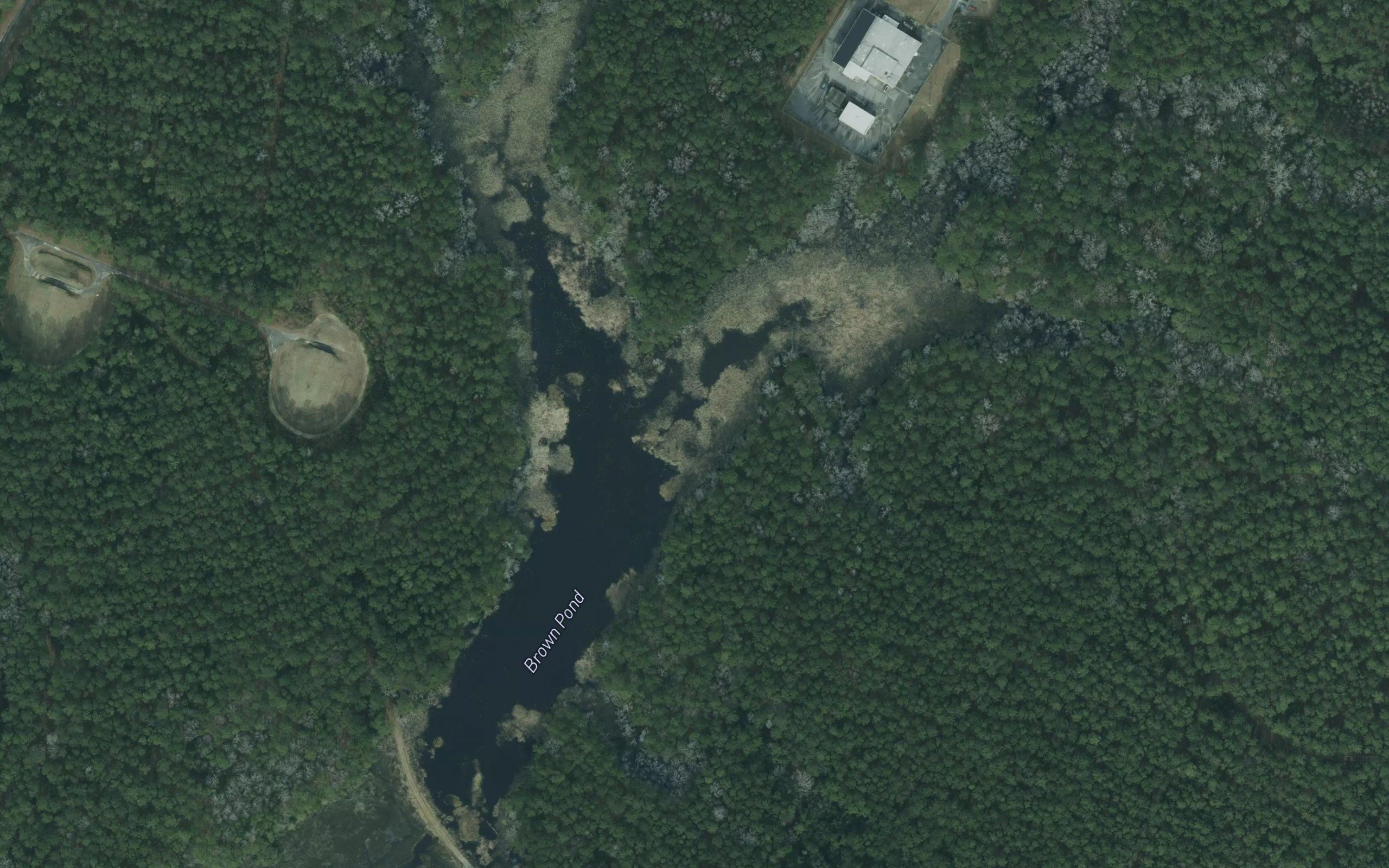 Brown Pond