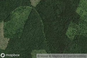 Pad' Pyataya Barsuch'ya