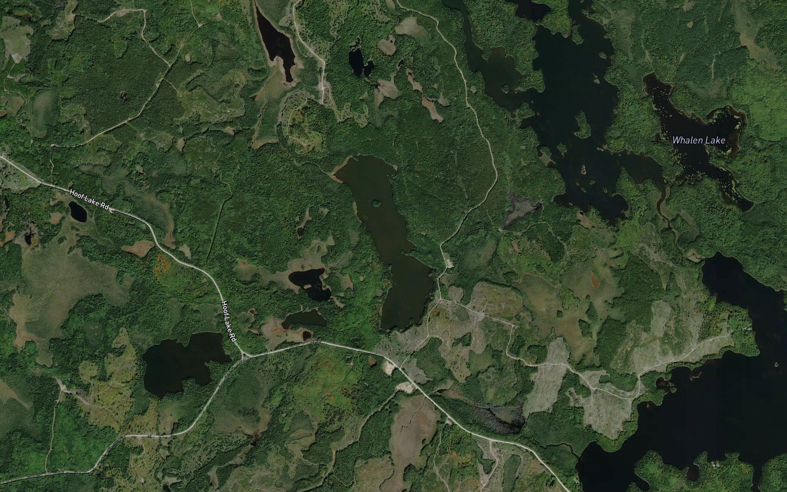 Carson Lake