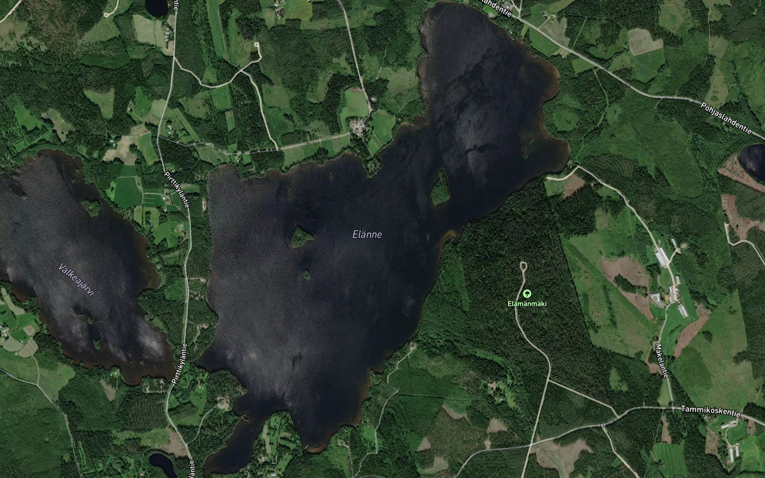 Ruokomoisionlahti