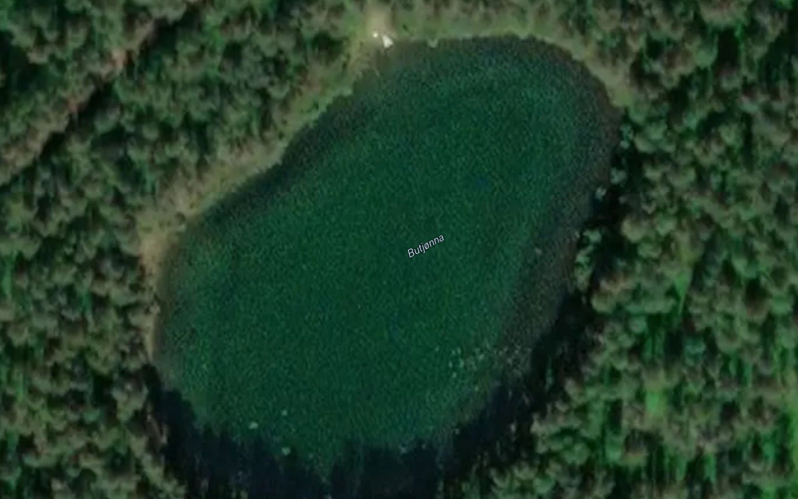 Butjonna
