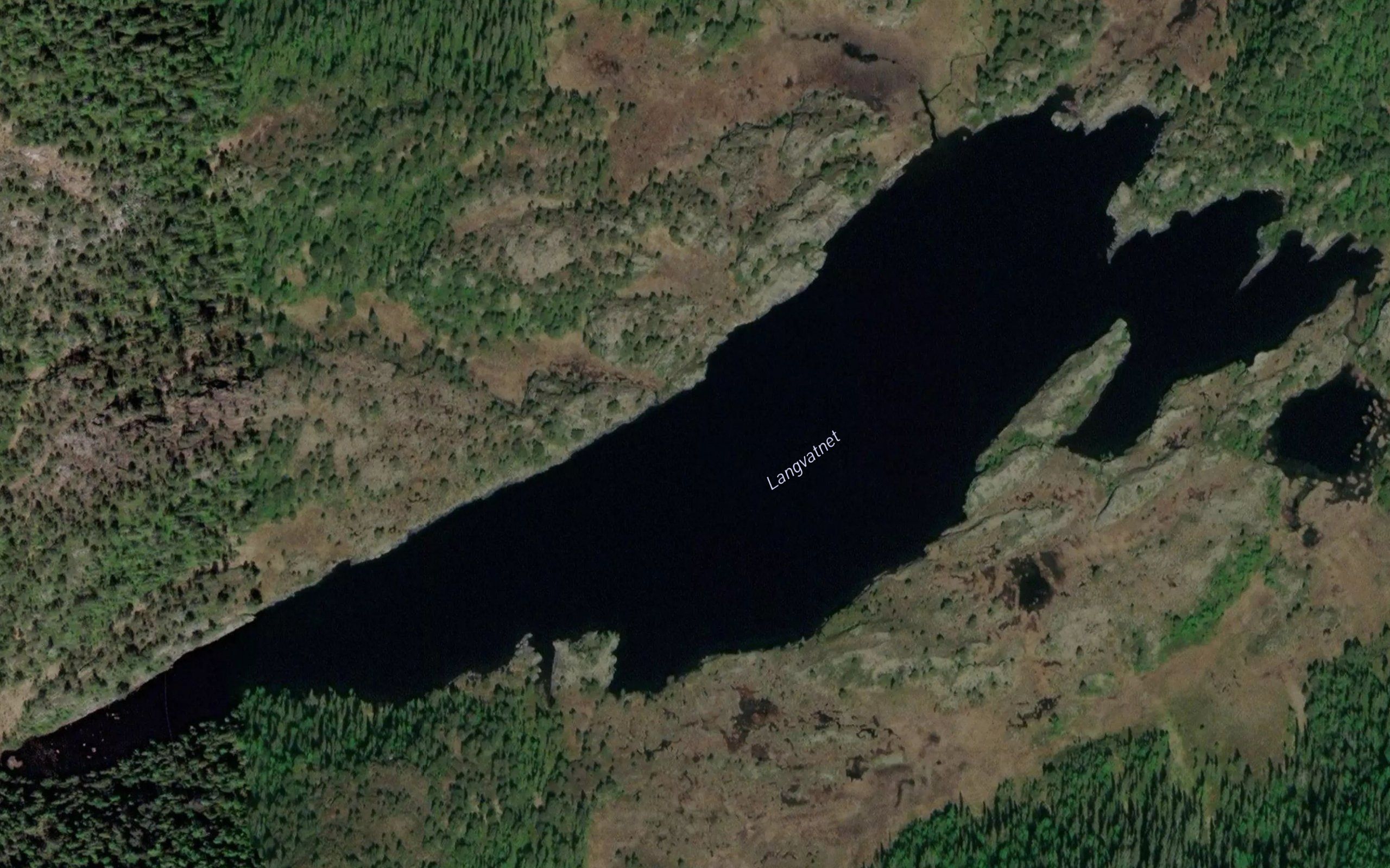 Langvatnet