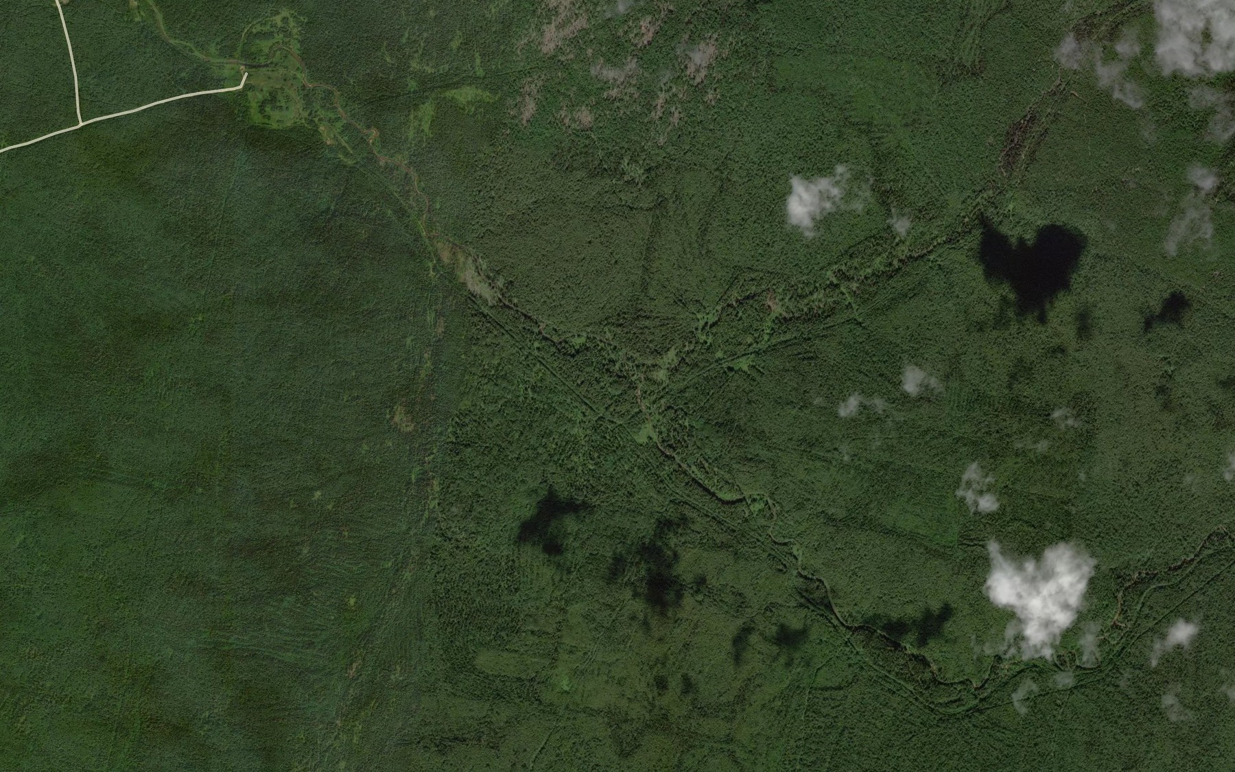 Satellite map of the Tsen'va