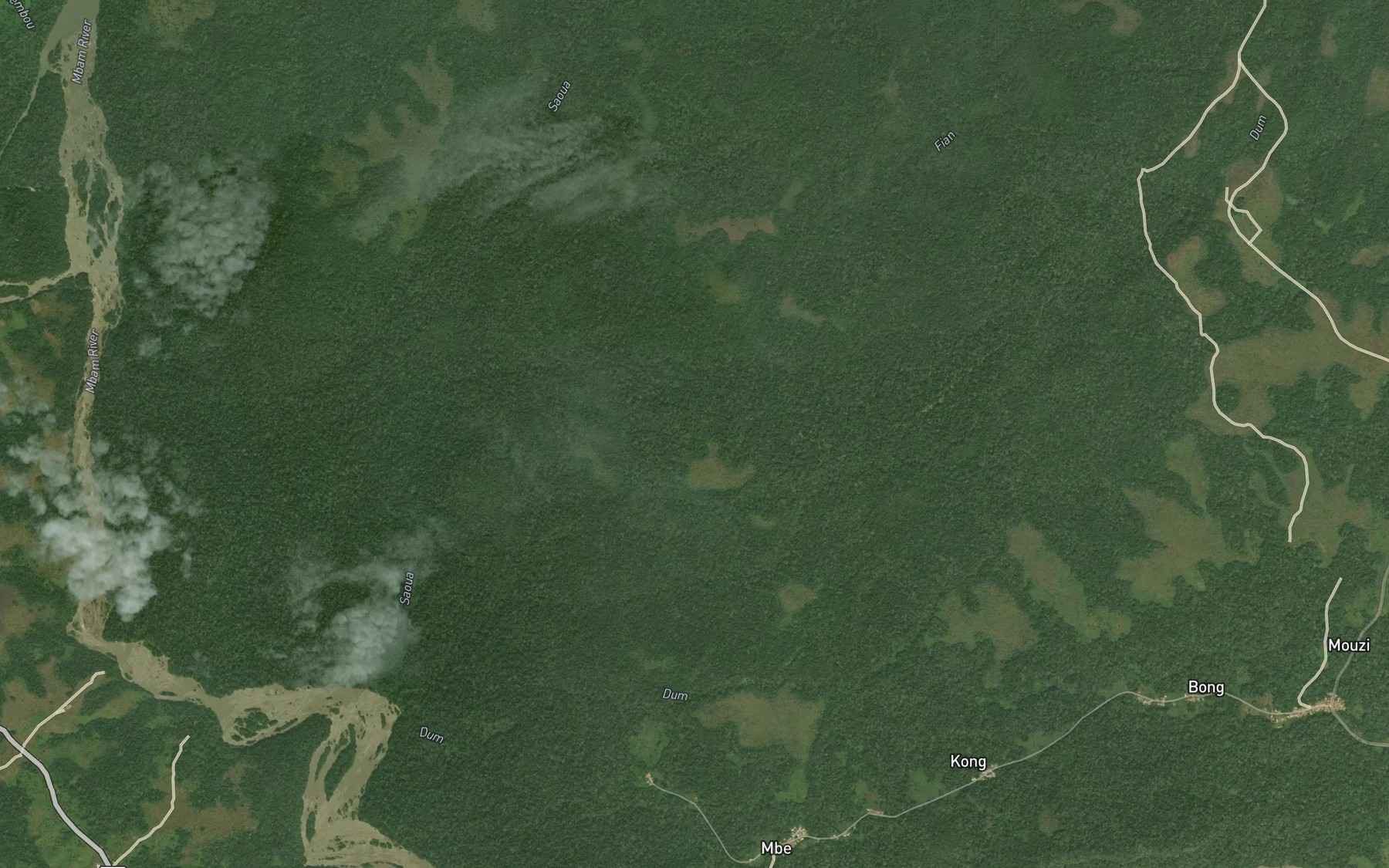 Satellite map of the Fian