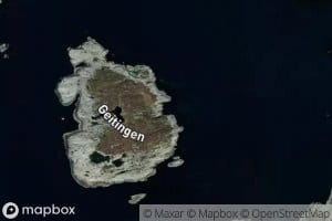 Tokevika