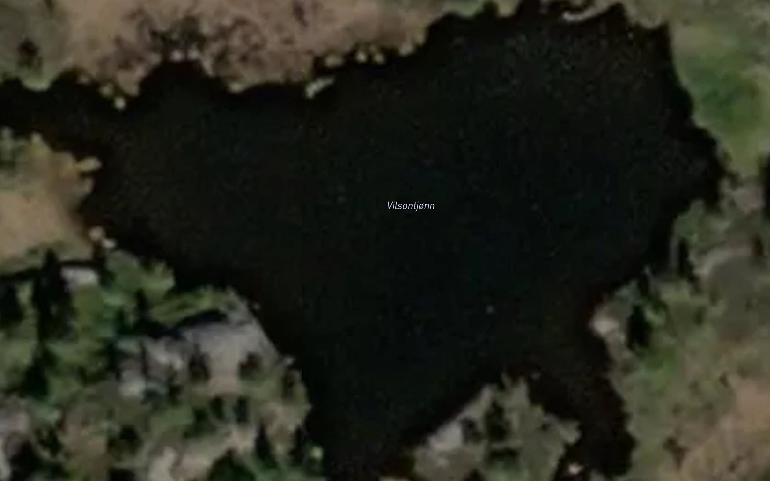 Vilsontjonn