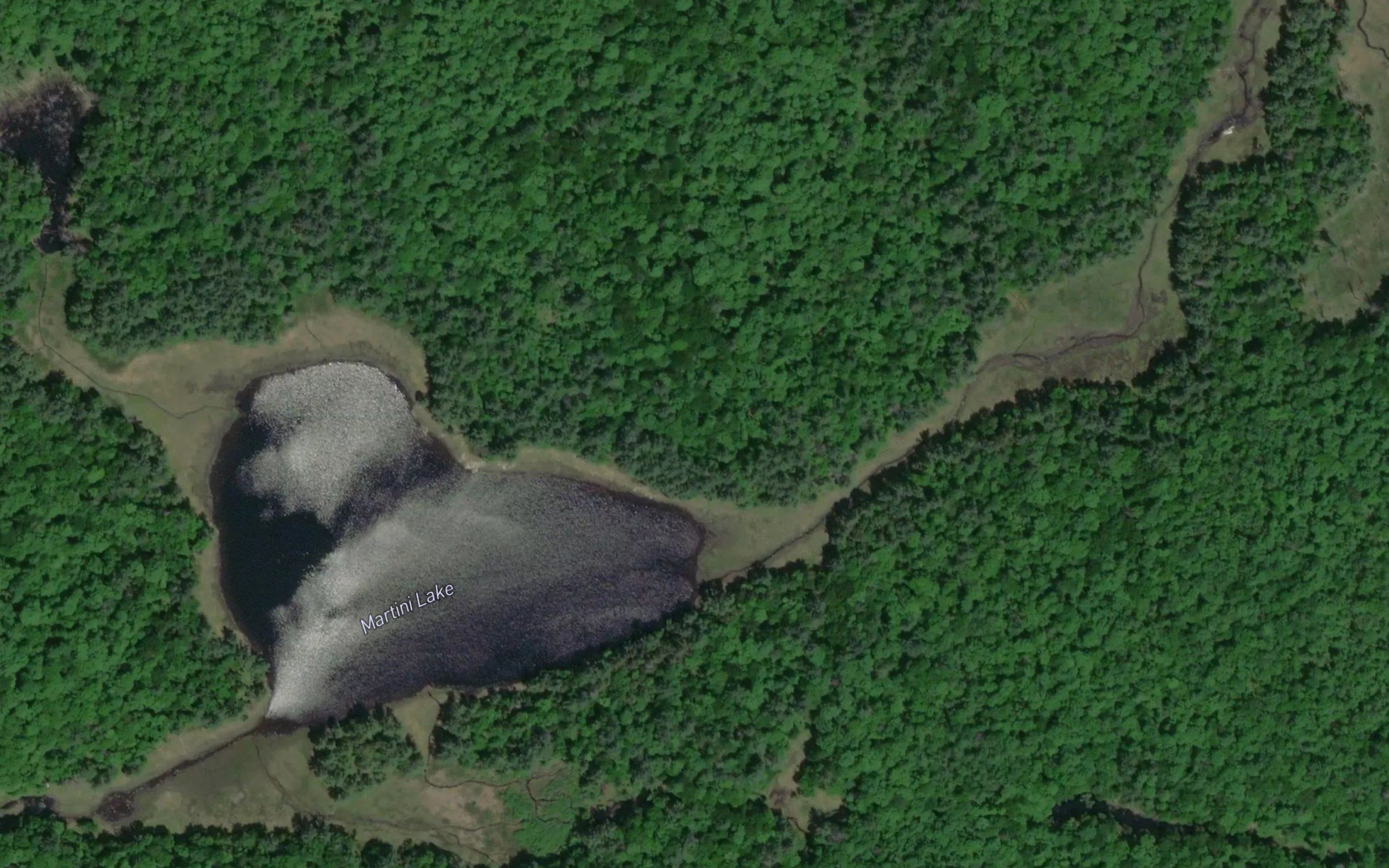 Martini Lake