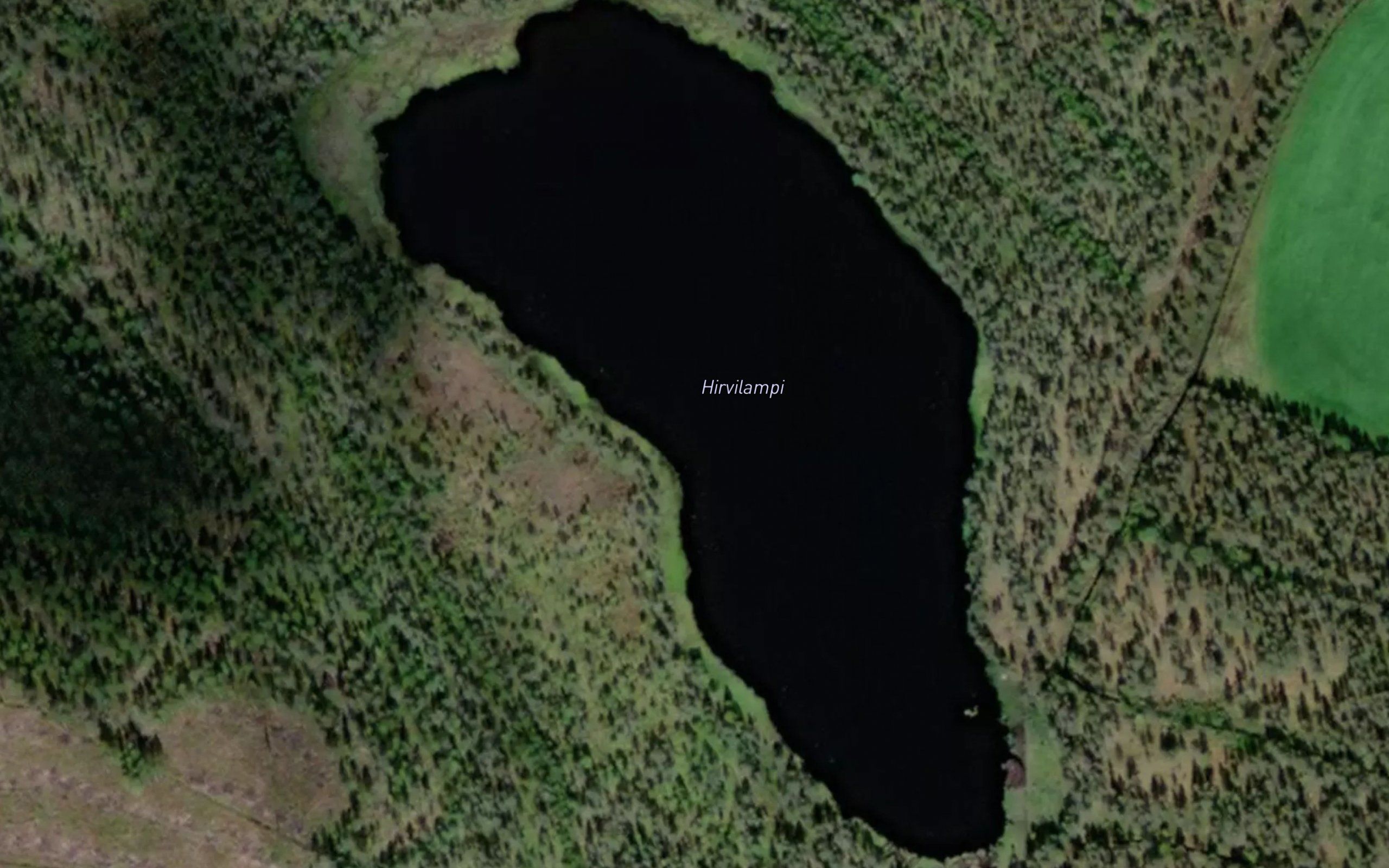 Hirvilampi