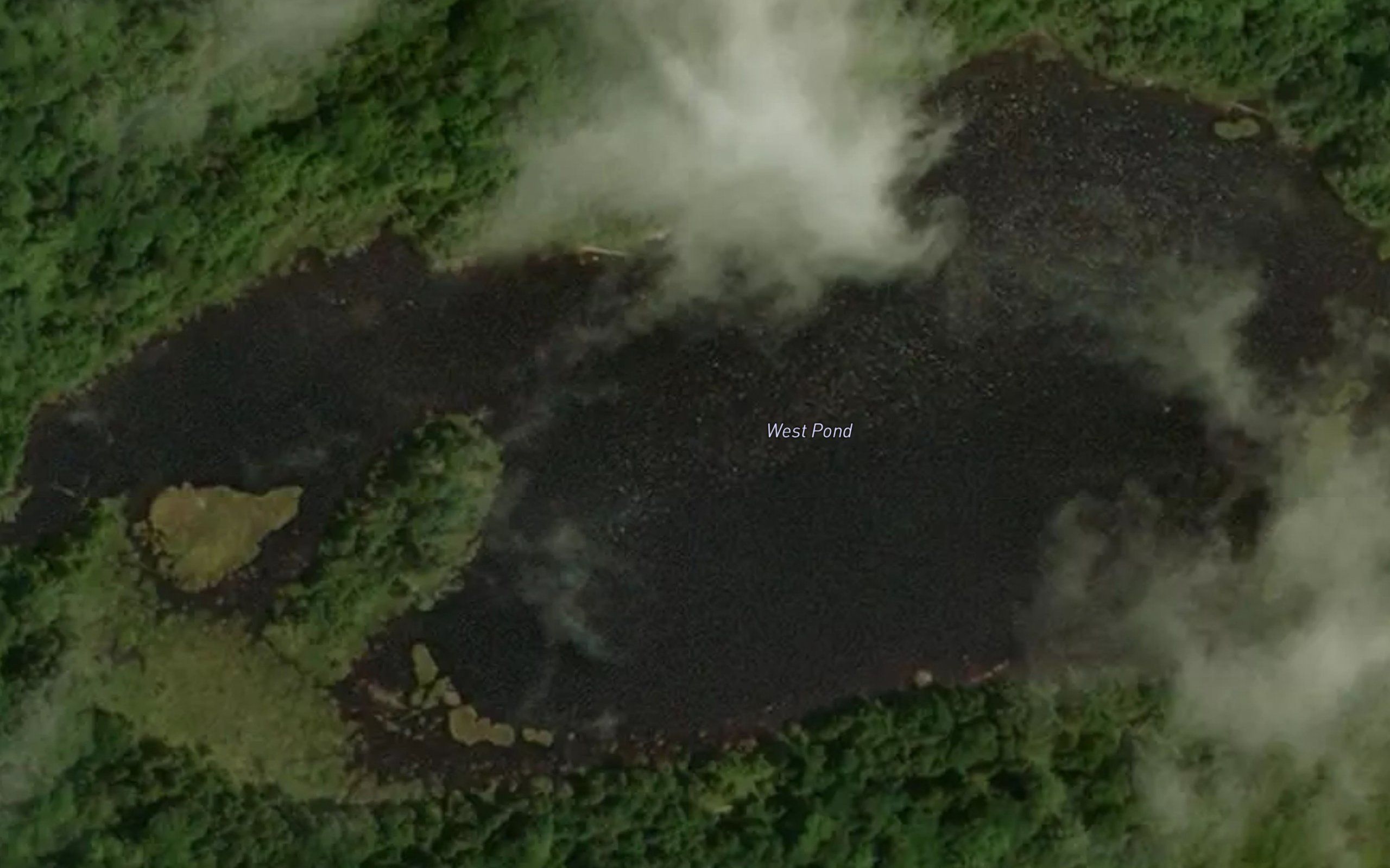 West Pond