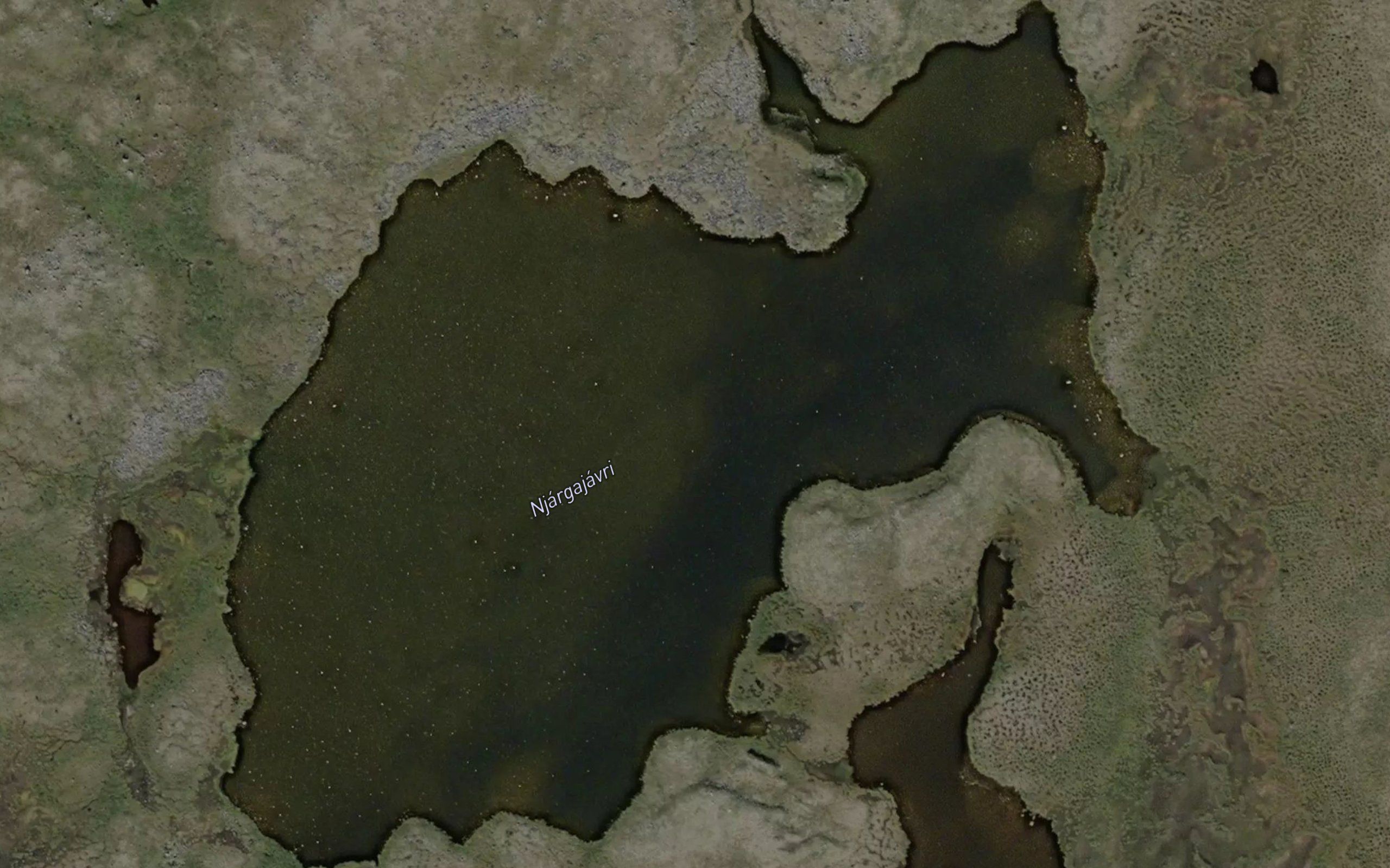 Njargajavri