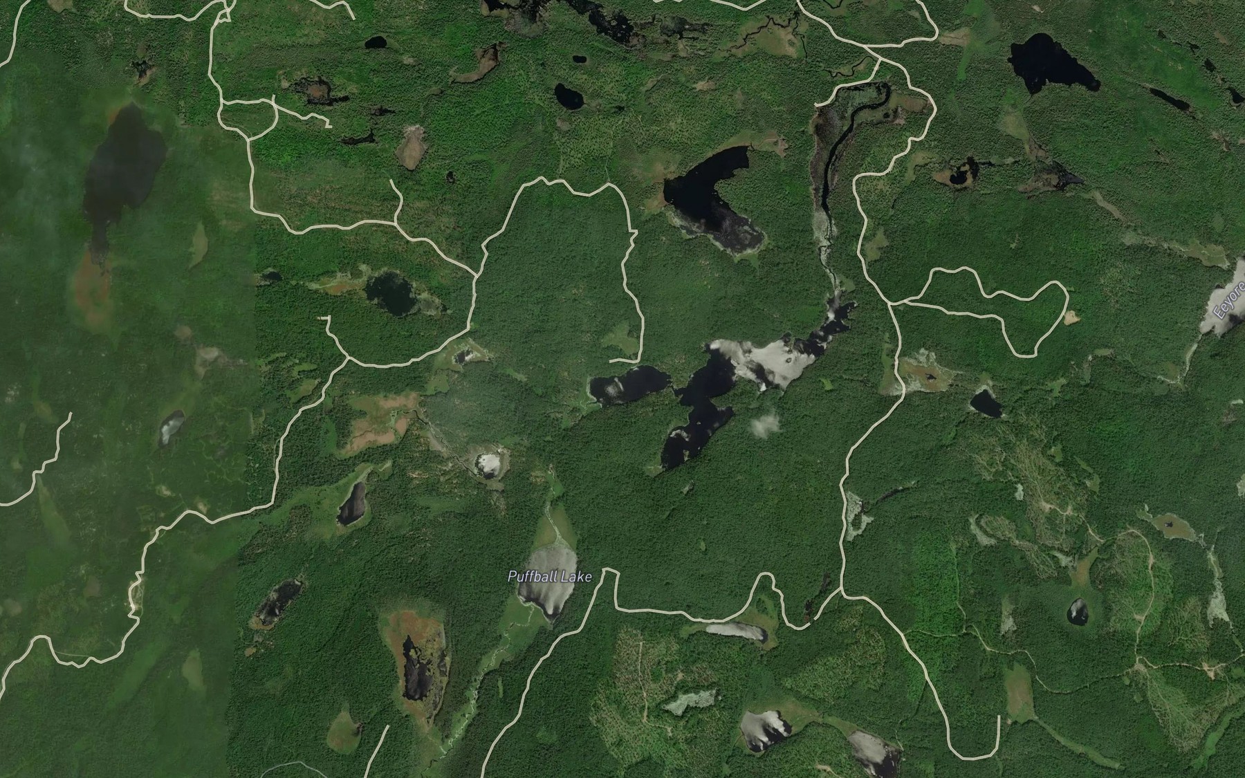 Satellite map of the Tigger Lake