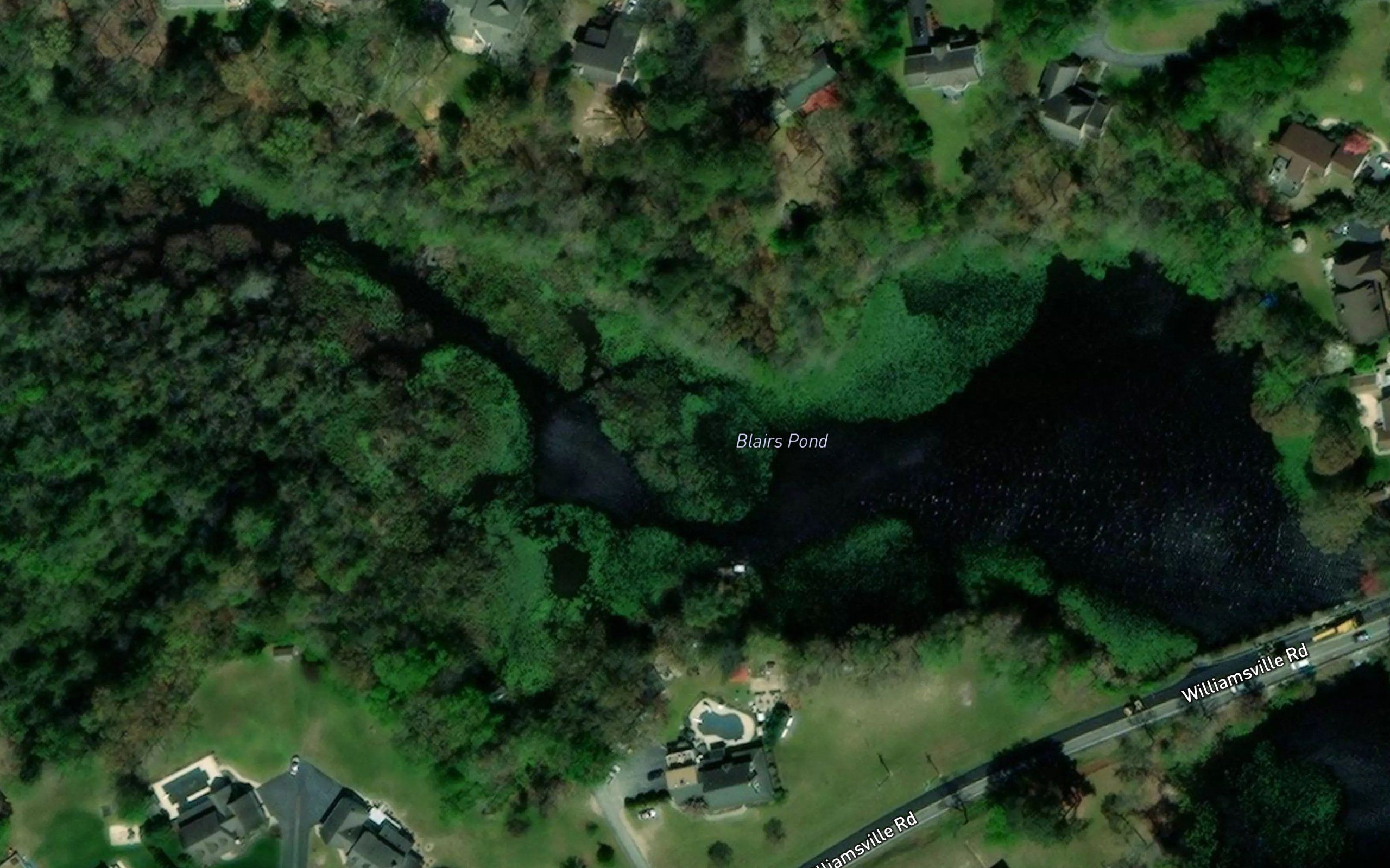 Beaverdam Branch