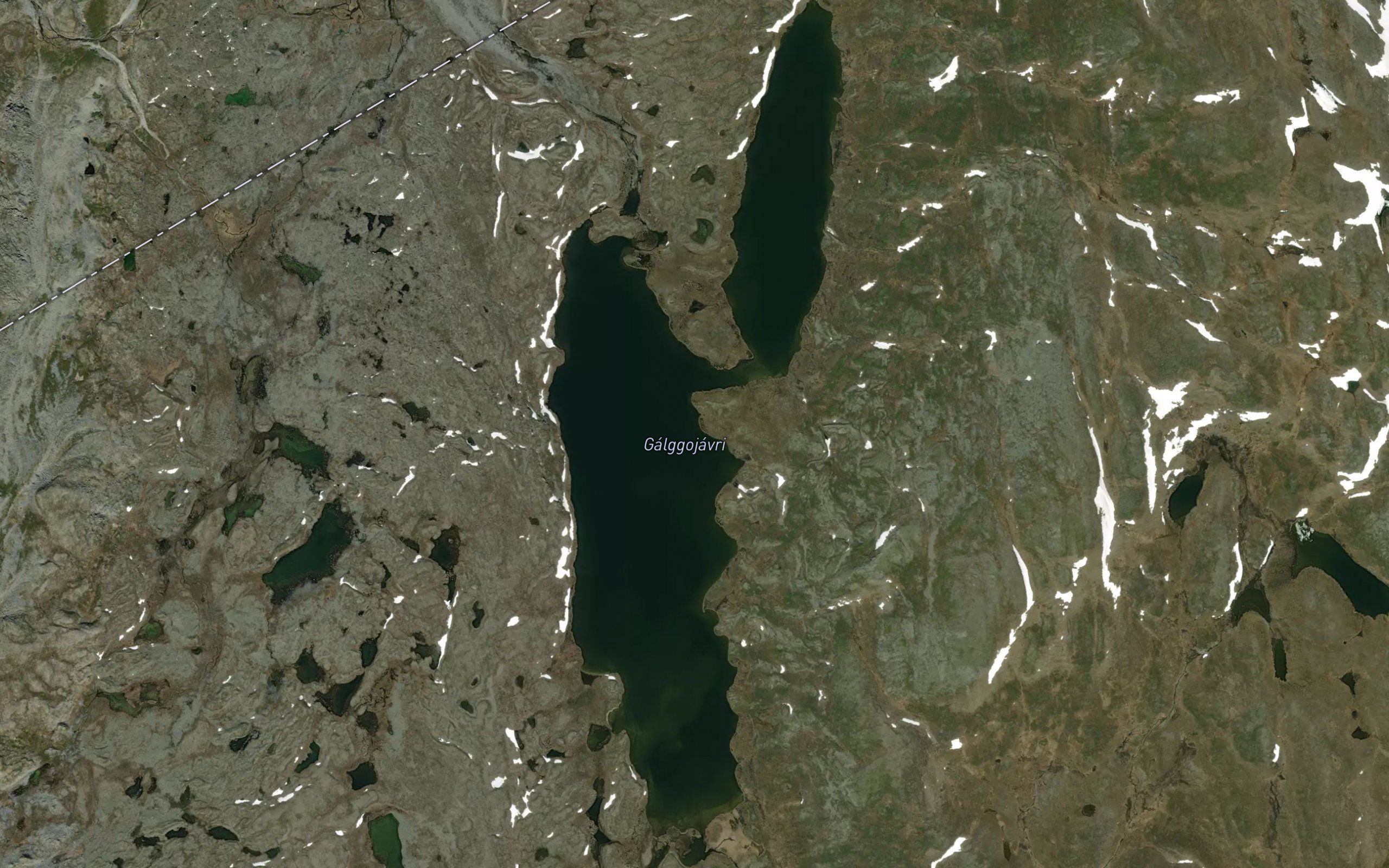 Galgujavri