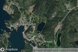 Risdalstjorna