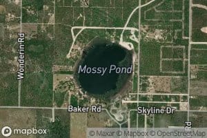 Mossy Pond