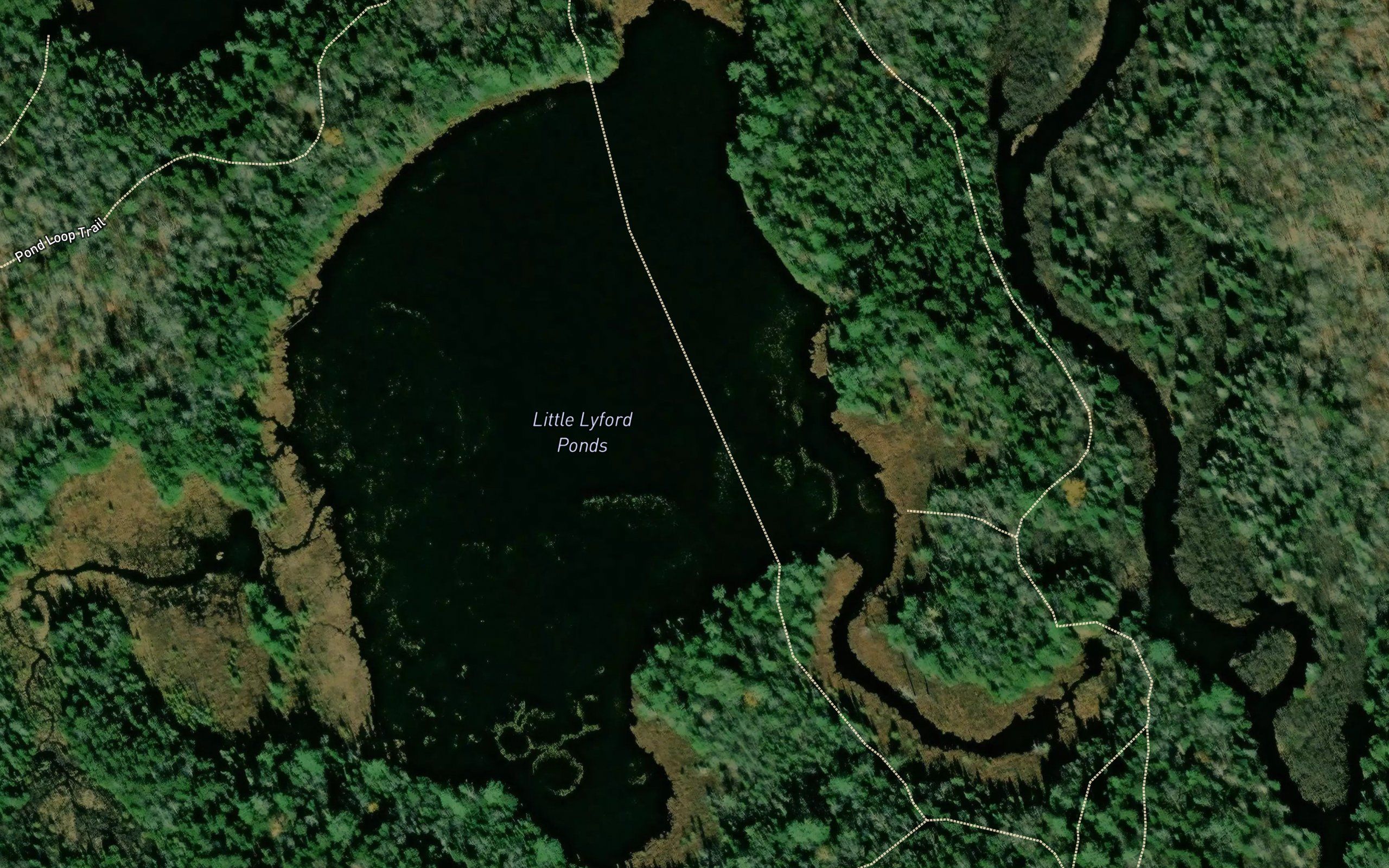 Little Lyford Ponds