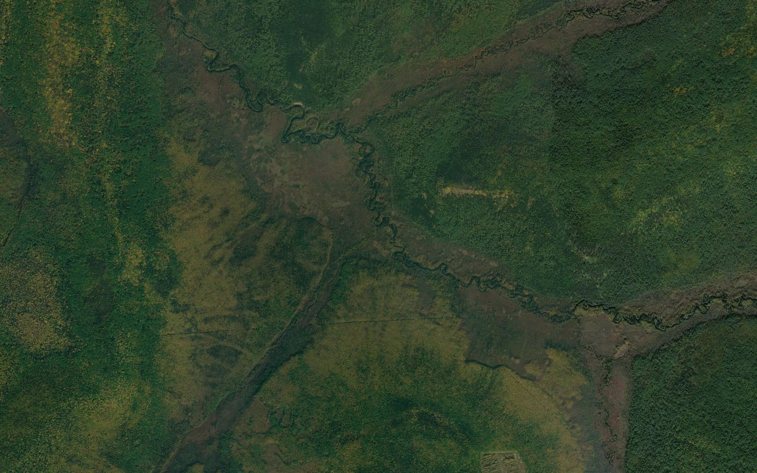 Chernaya