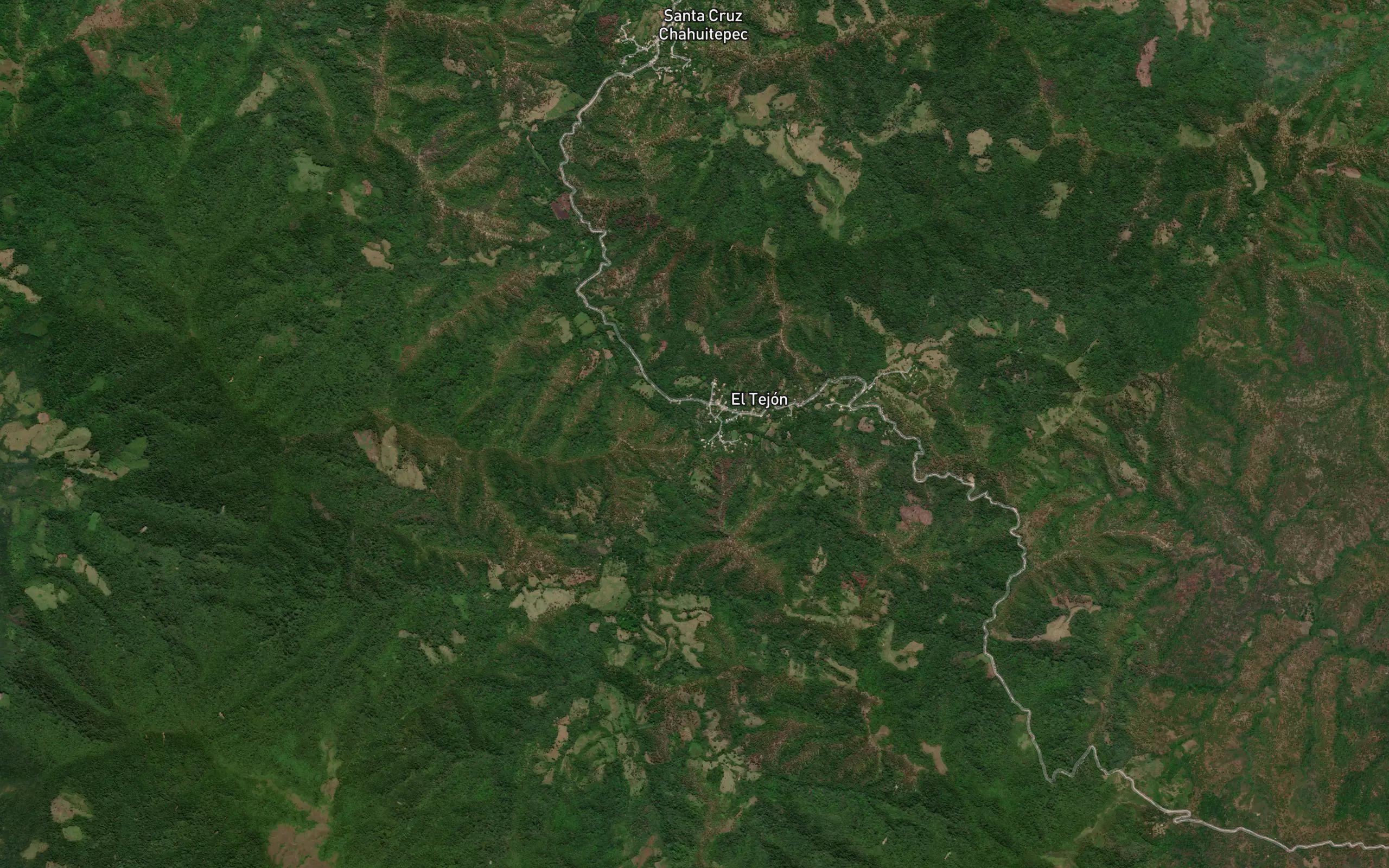 Palizada