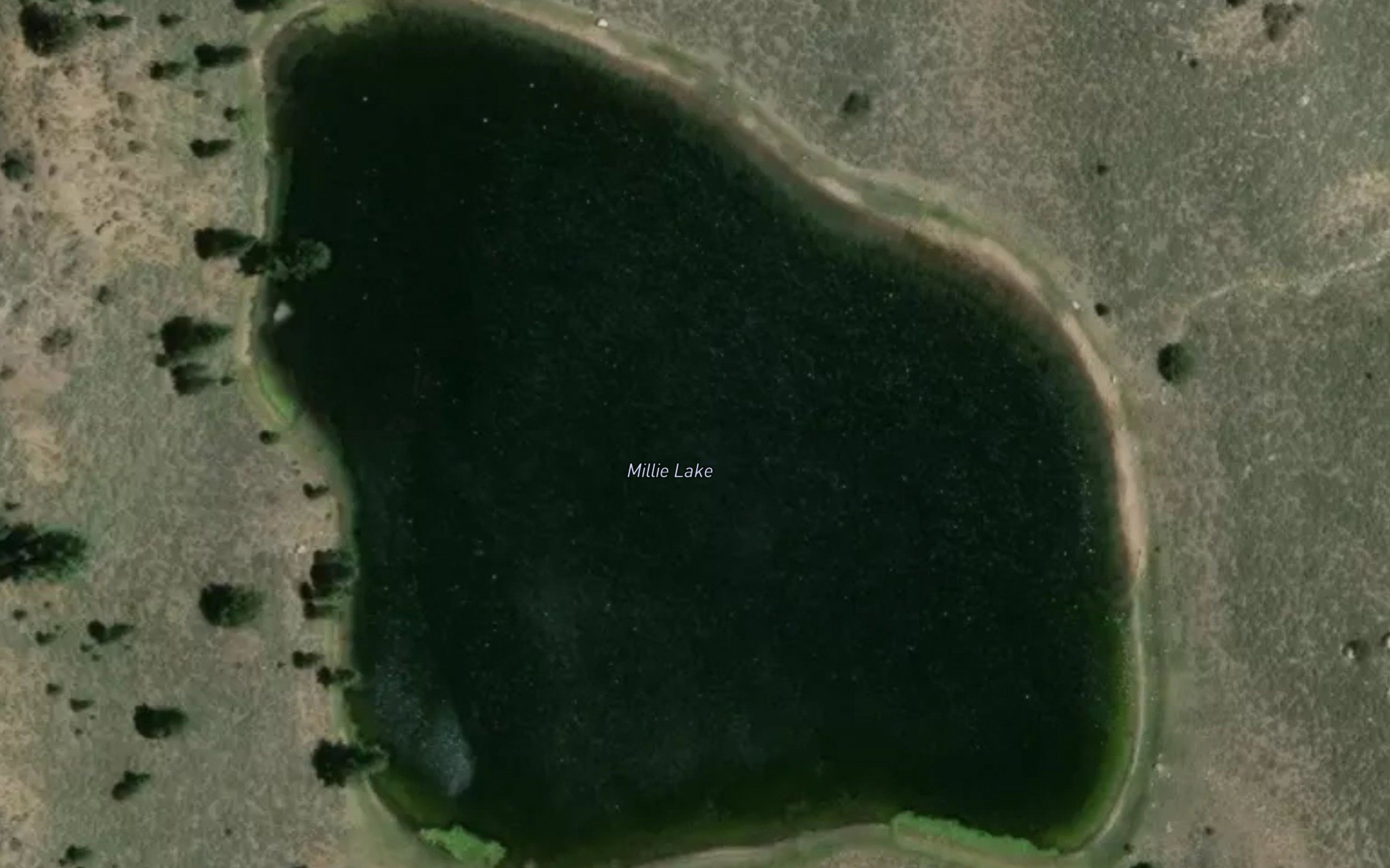 Millie Lake