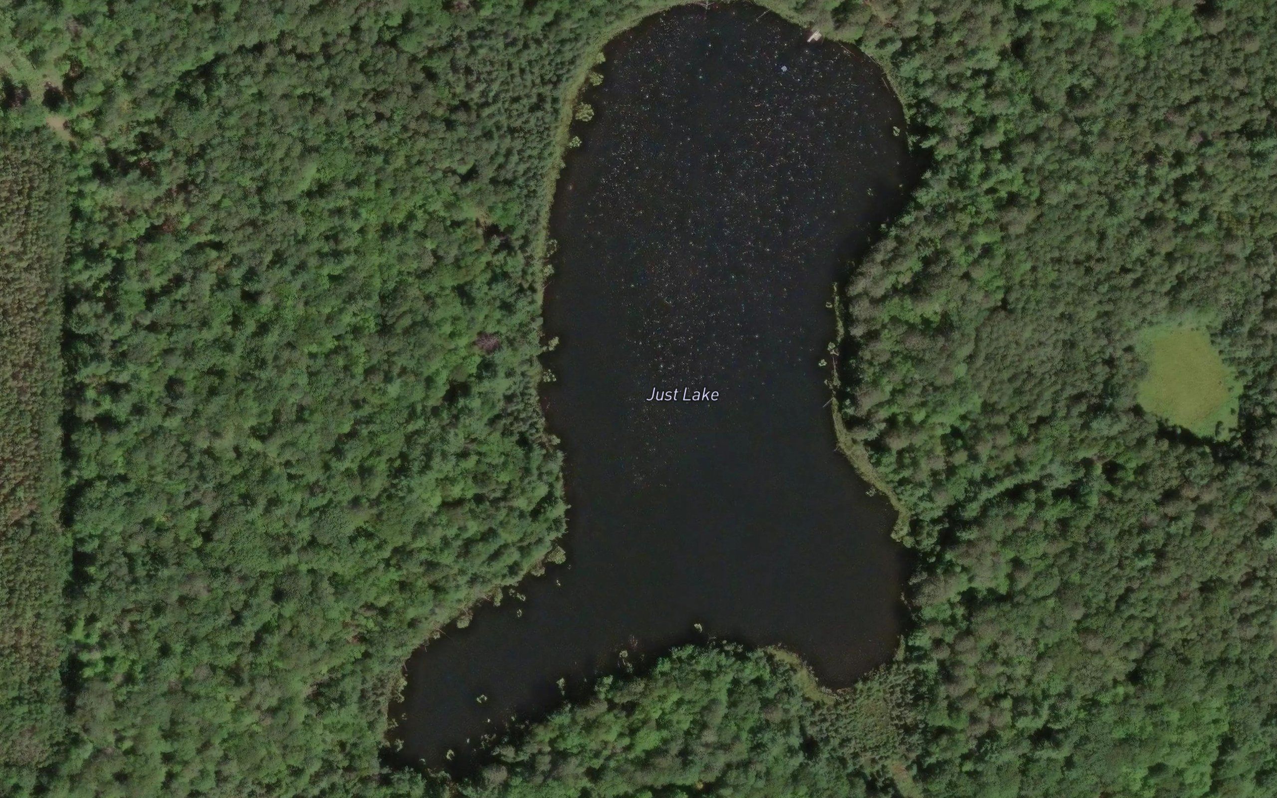 Just Lake
