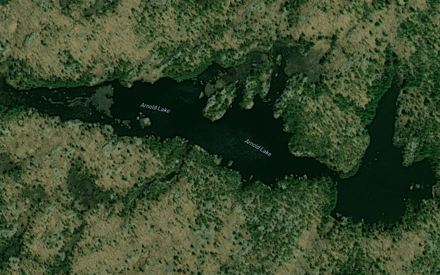 Satellite map of the Arnold Lake