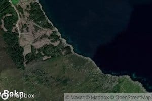 Ormasto