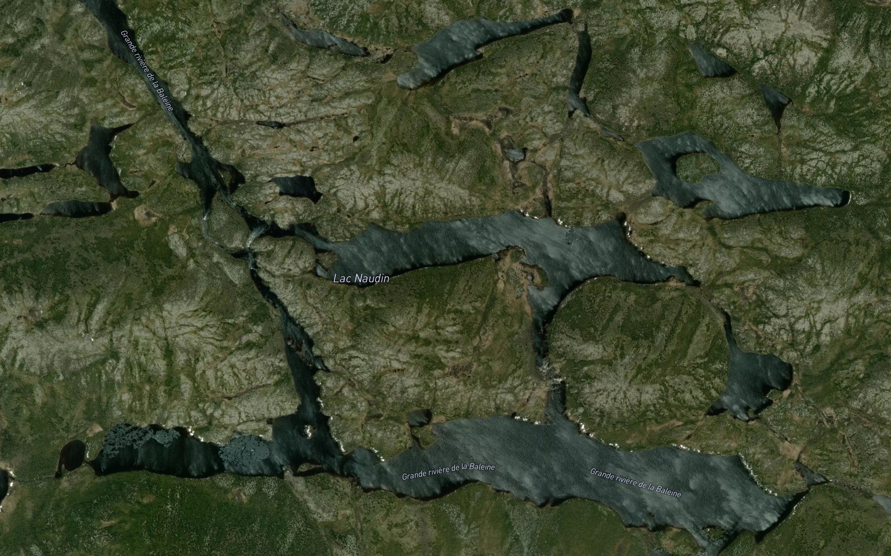 Satellite map of the Lac Naudin