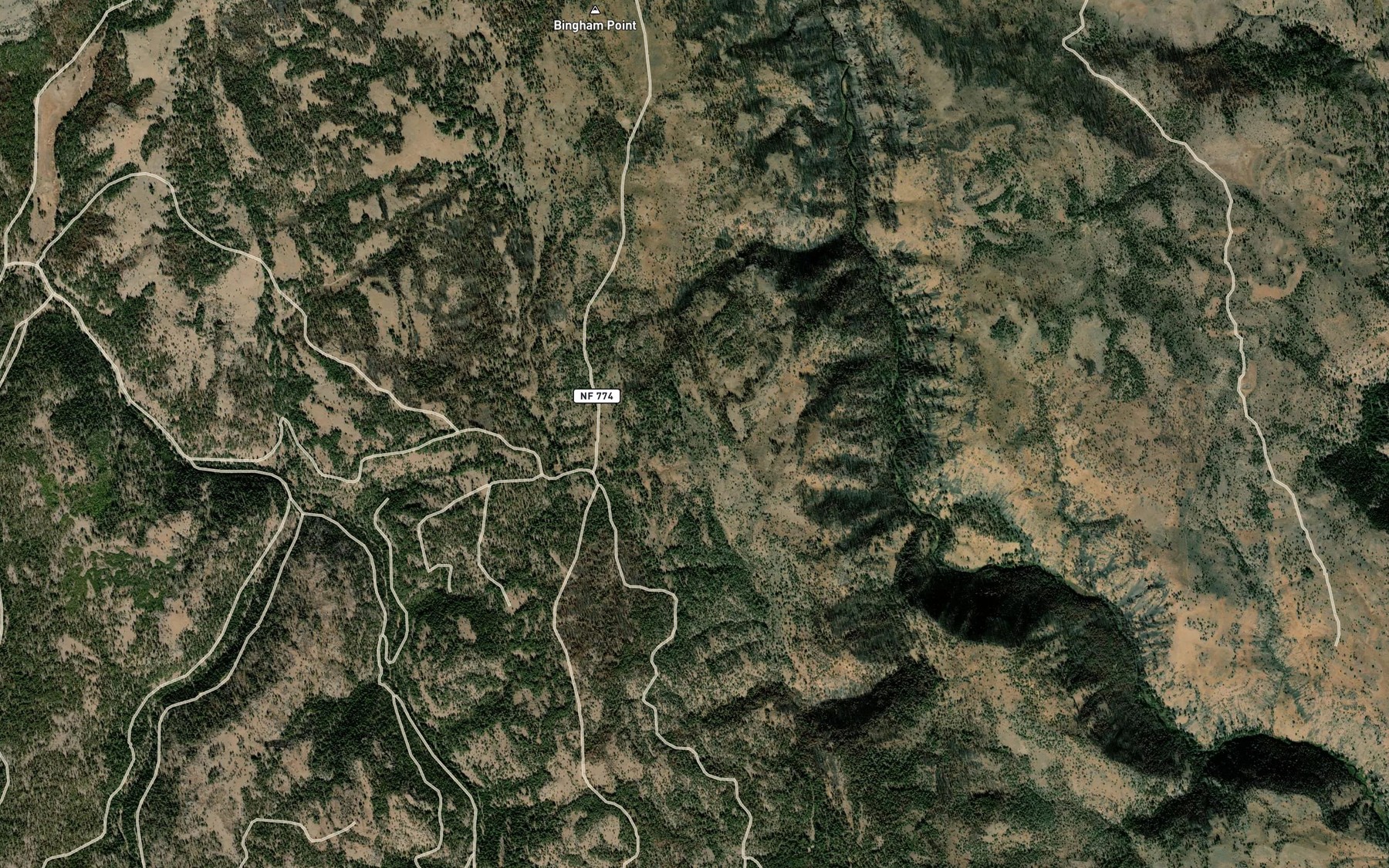 Satellite map of the Forks Reservoir