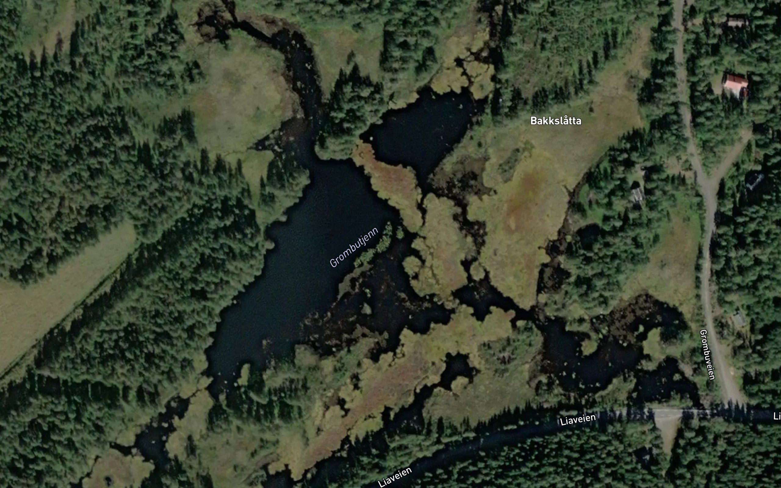 Grombutjern